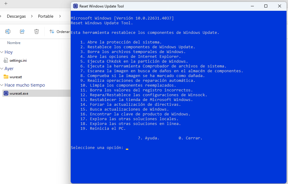 Opciones del Reset Windows Update Tool