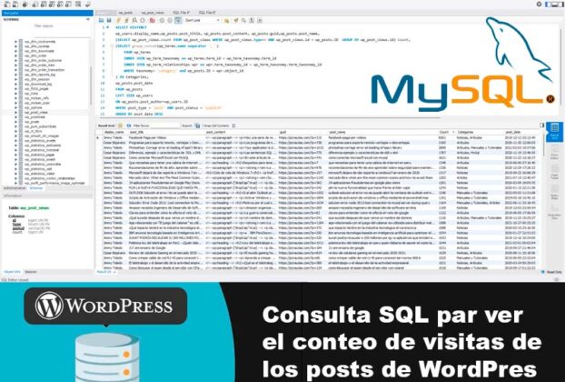 Consulta SQL para ver el numero de visitantes de los post en wordpress